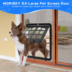 Morikey dog screen door showing four-entry layout for flexible pet access.