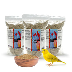 Morning Bird Canary Seed 3-pack bag ready for daily feeding and energy.