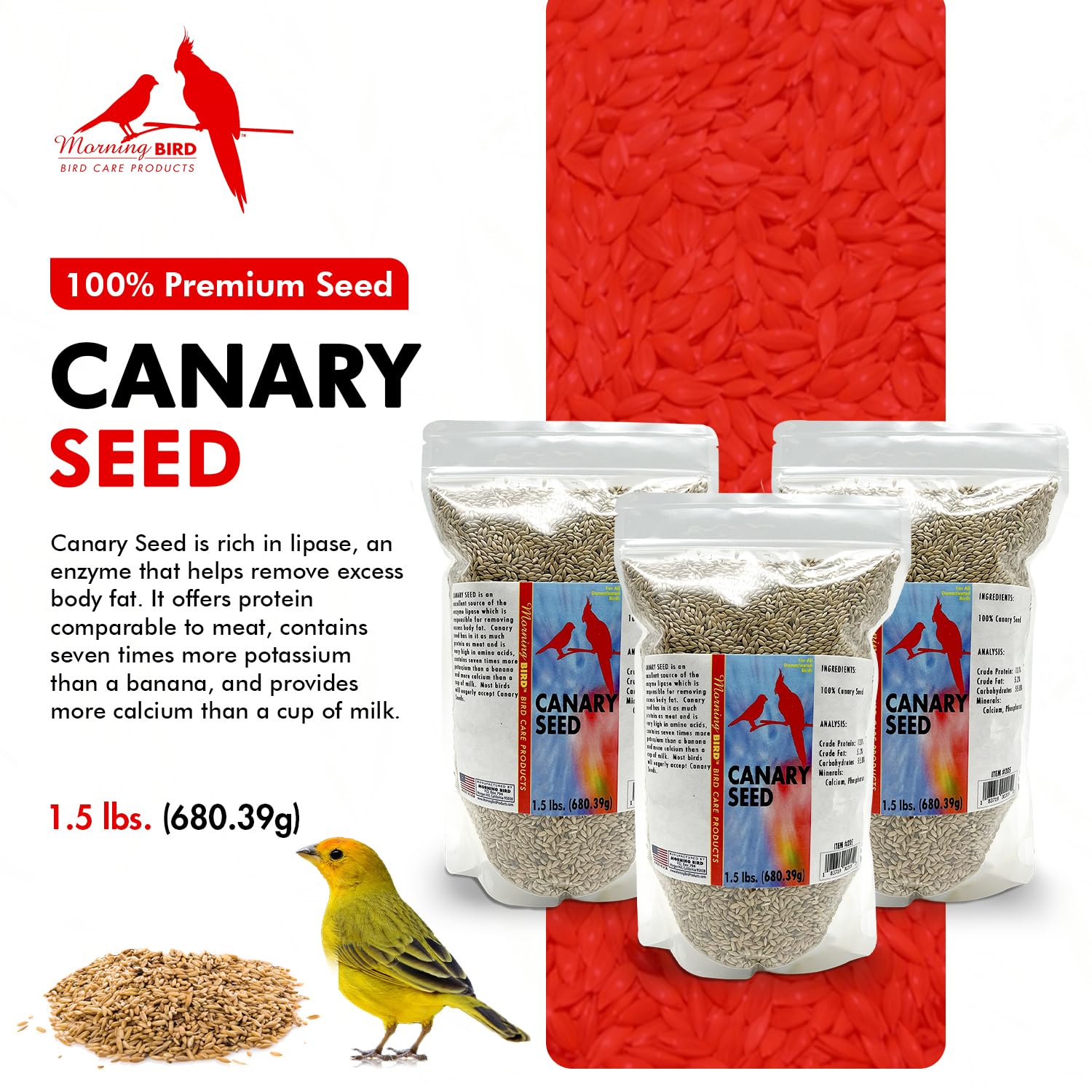 Morning Bird Canary Seed in a feeder supports energetic activity.