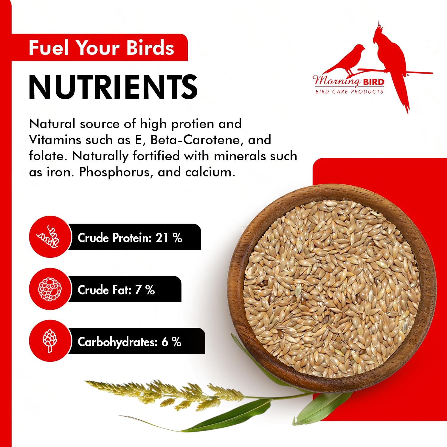 Morning Bird Canary Seed nutrition label highlights protein and minerals.