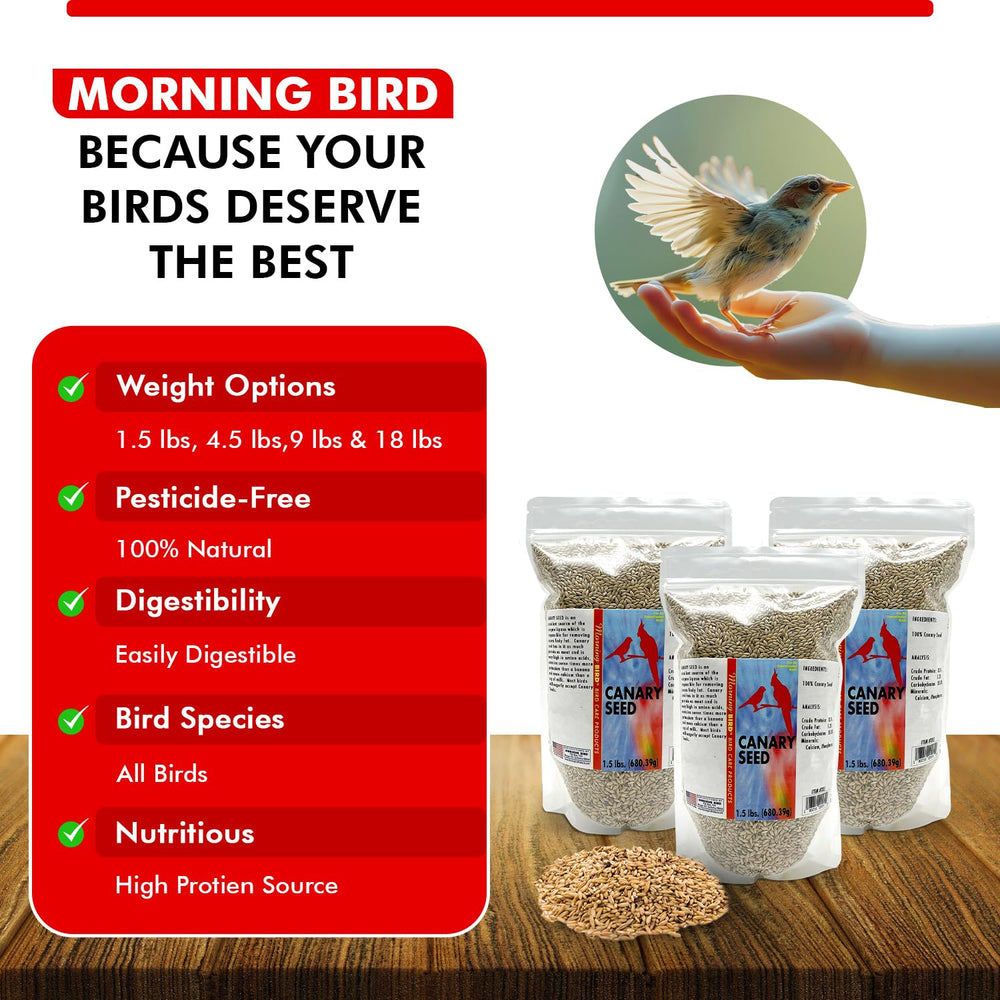 Morning Bird Canary Seed 3-pack packaging displayed on shelf.