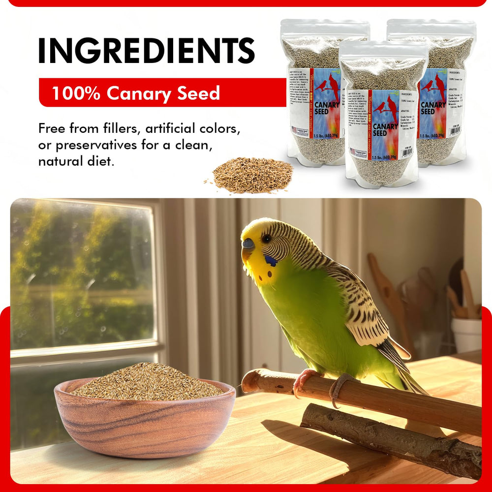 Morning Bird Canary Seed being poured for easy portioning.