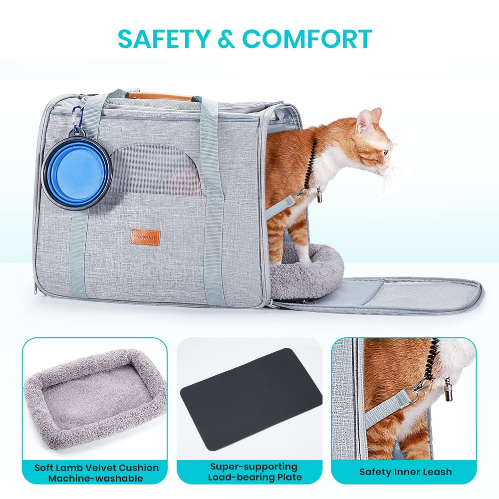 Morpilot foldable bowl on the go provides hydration and feeding convenience.