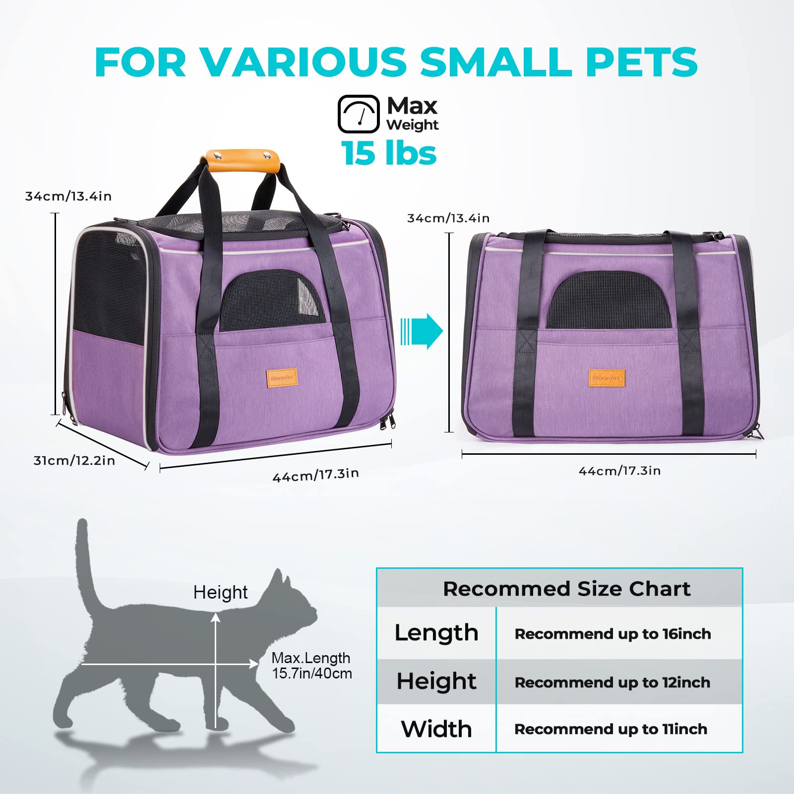 Morpilot foldable bowl included for convenient pet hydration on the go