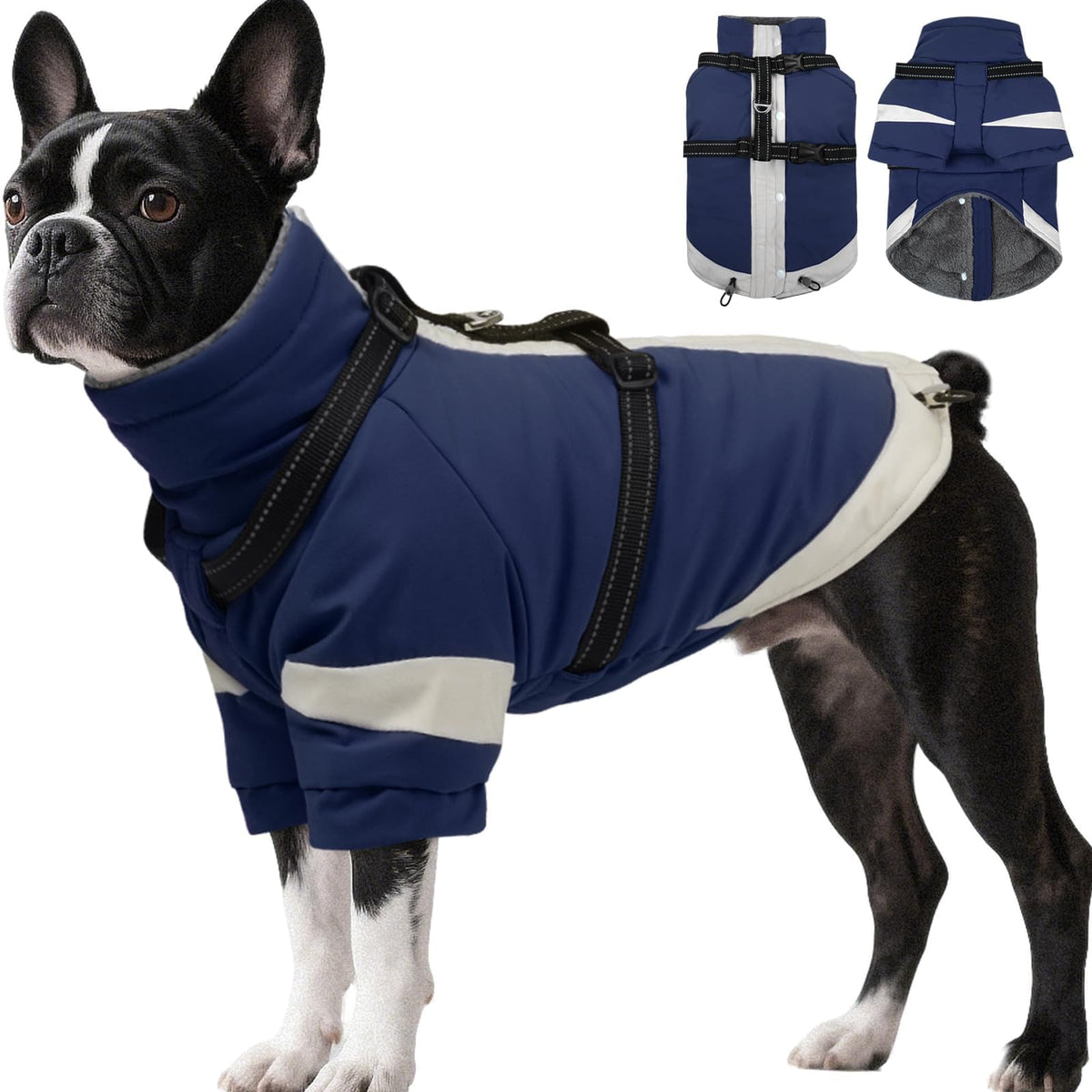 Morvigive dog winter coat with built-in harness for easy leash control.