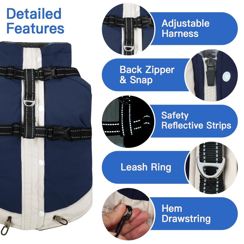 Morvigive navy coat suitable for daily winter dog walks.