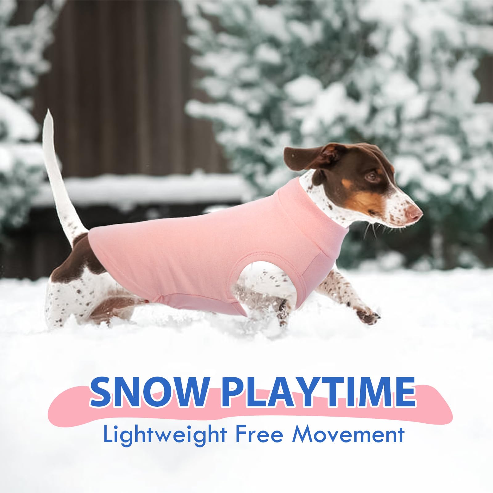 MORVIGIVE fleece vest for Shih Tzu and Papillon; breathable comfort during daytime adventures.