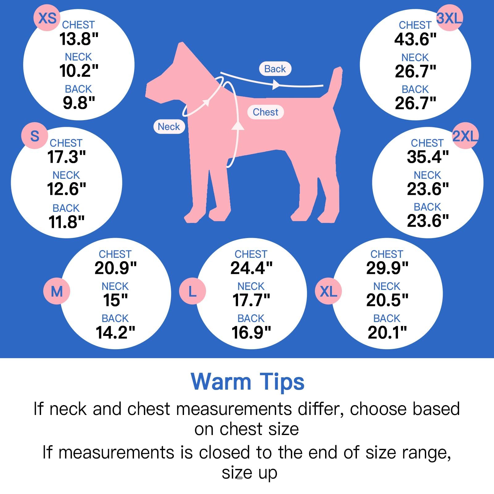 Morvigive size M fits small dogs like Jack Russell and Schnauzer.
