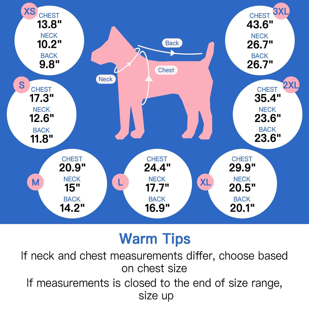 Morvigive size M fits small dogs like Jack Russell and Schnauzer.