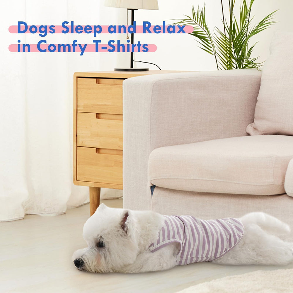 MORVIGIVE soft breathable fabric keeps dogs comfortable during playtime.