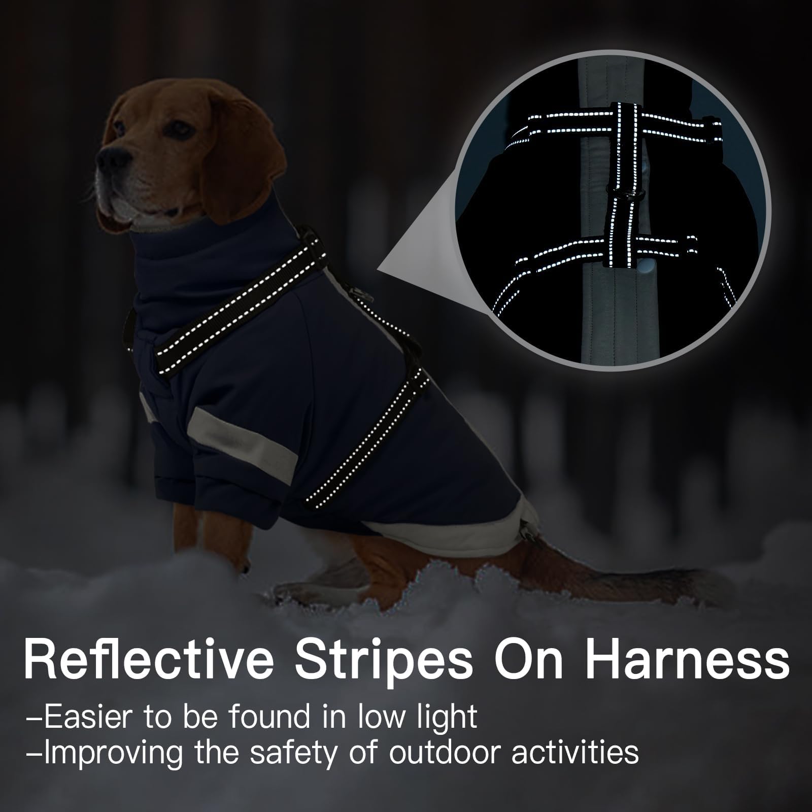MORVIGIVE navy harness built-in closeup showing secure leash integration