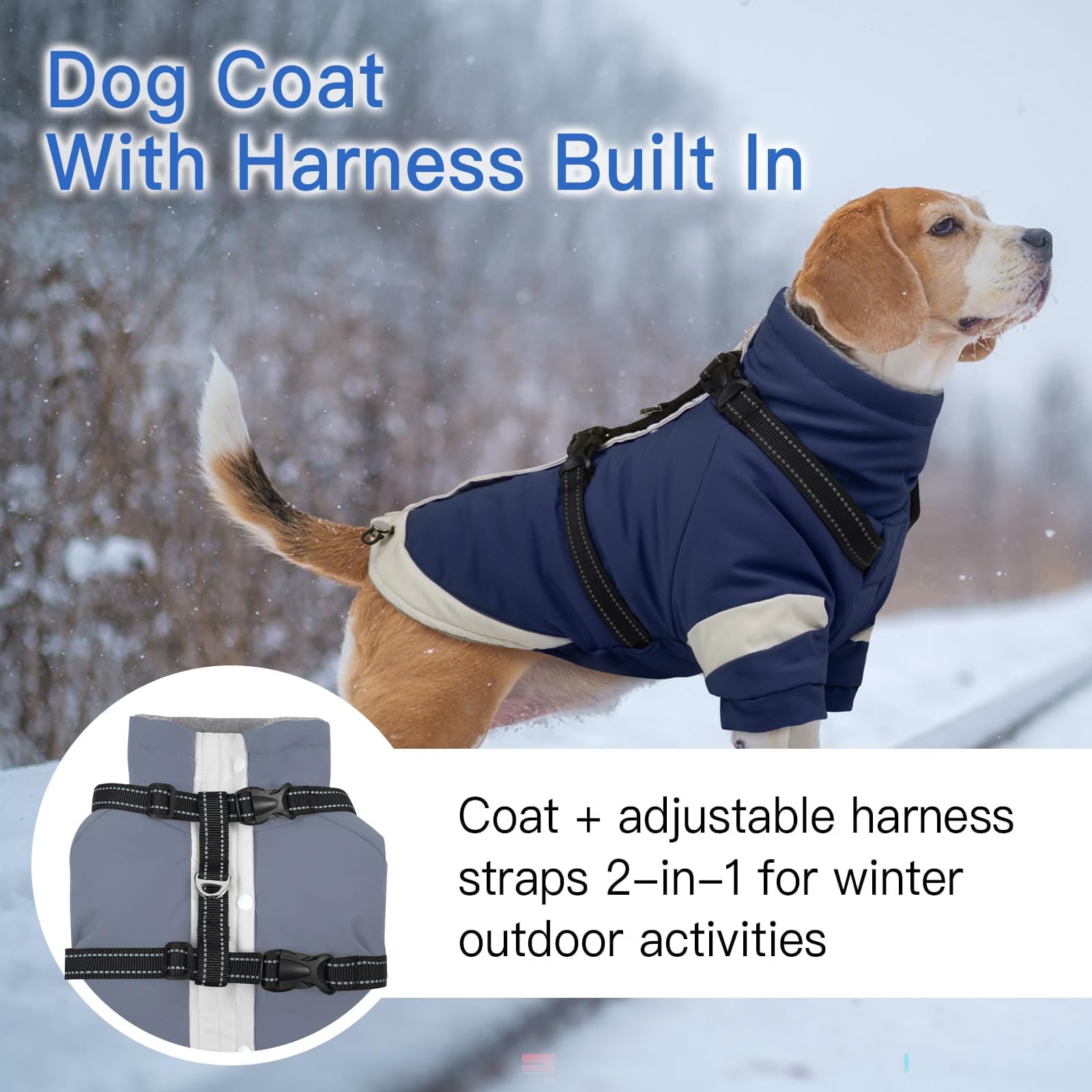 Morvigive windproof water-repellent shell keeps dogs dry outdoors.