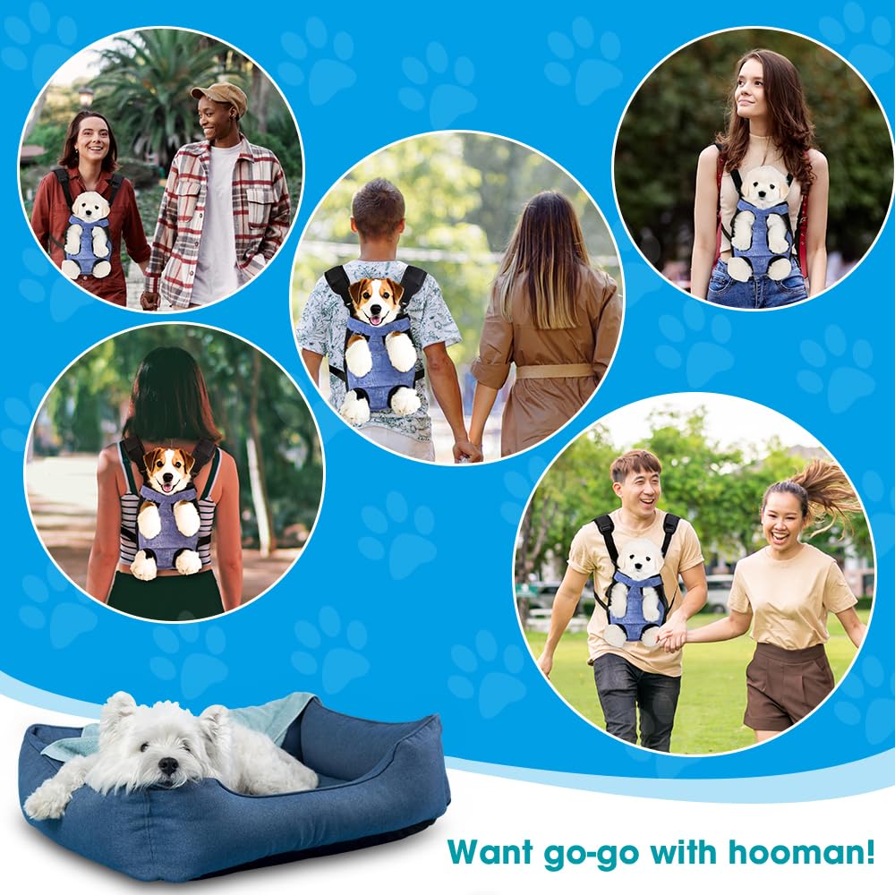 Mosago interaction-photos emphasizes close bonding and photo-friendly moments with your dog.