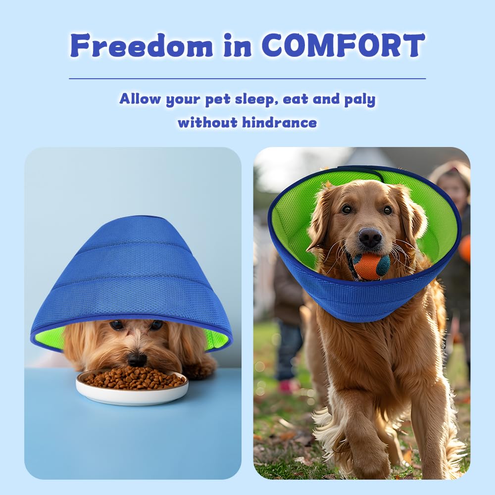 Mosago Soft Dog Cone Collar dog-eating shows uninterrupted meals during recovery.