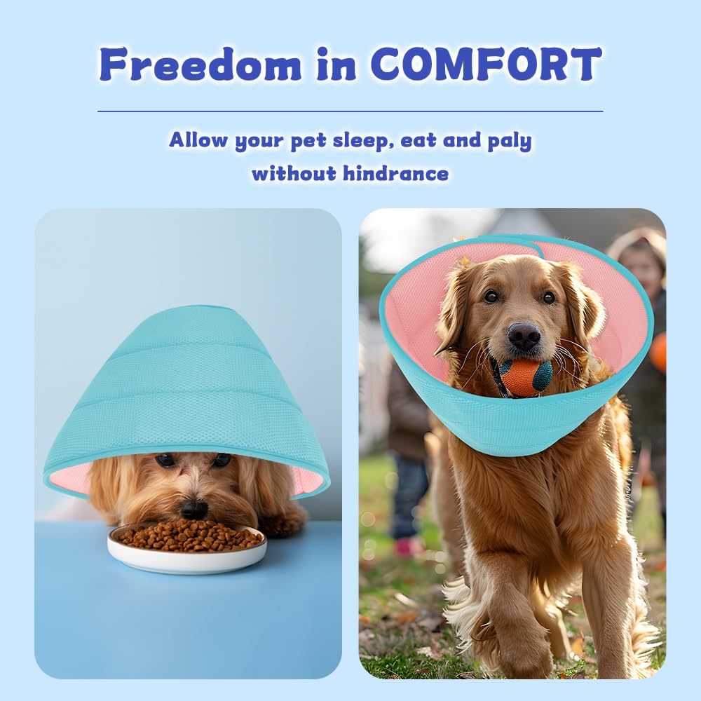 Mosago travel-foldable-cone is lightweight and portable for vet visits or travel.
