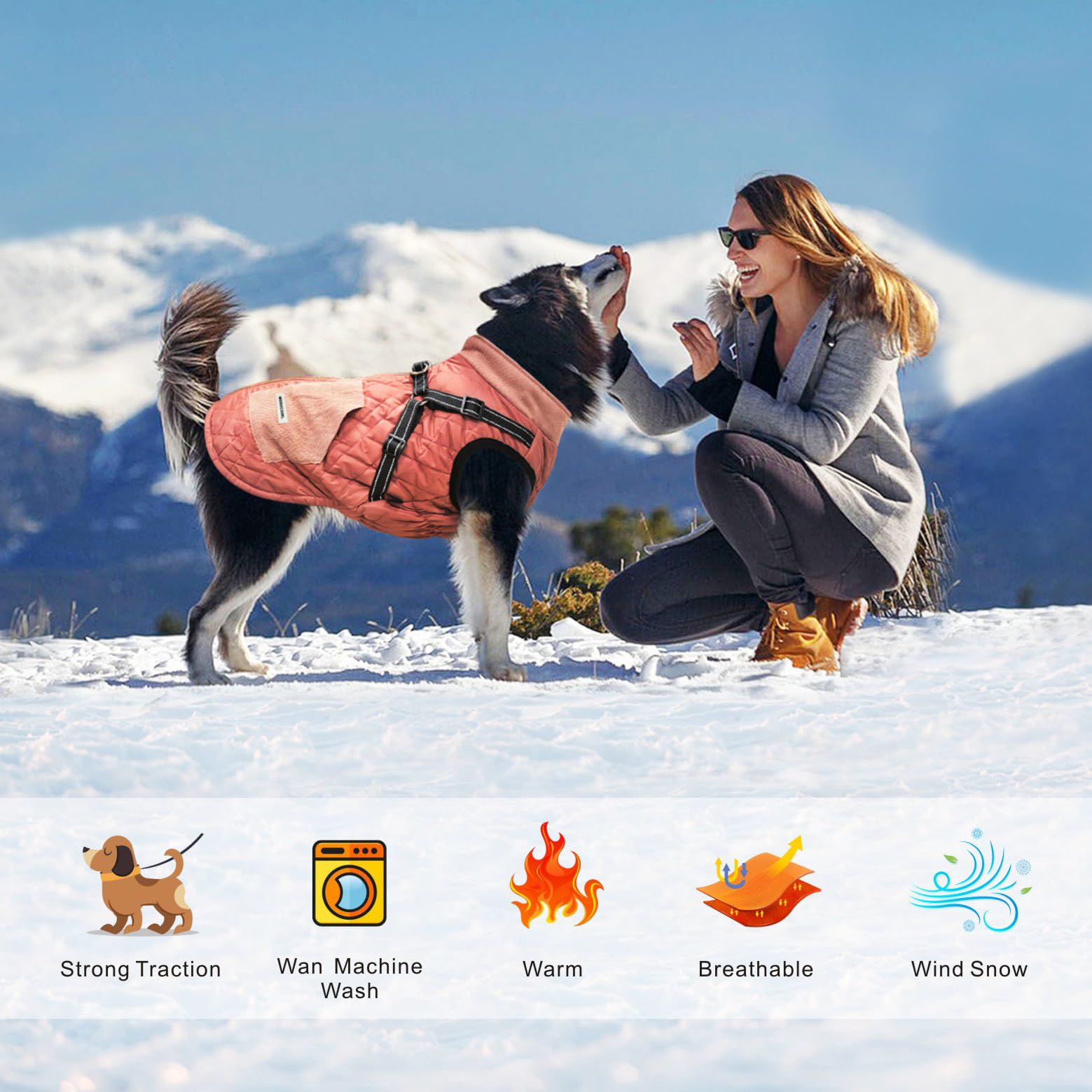 Mosucoirl harness-design dog coat showing detachable tow buckle for control.