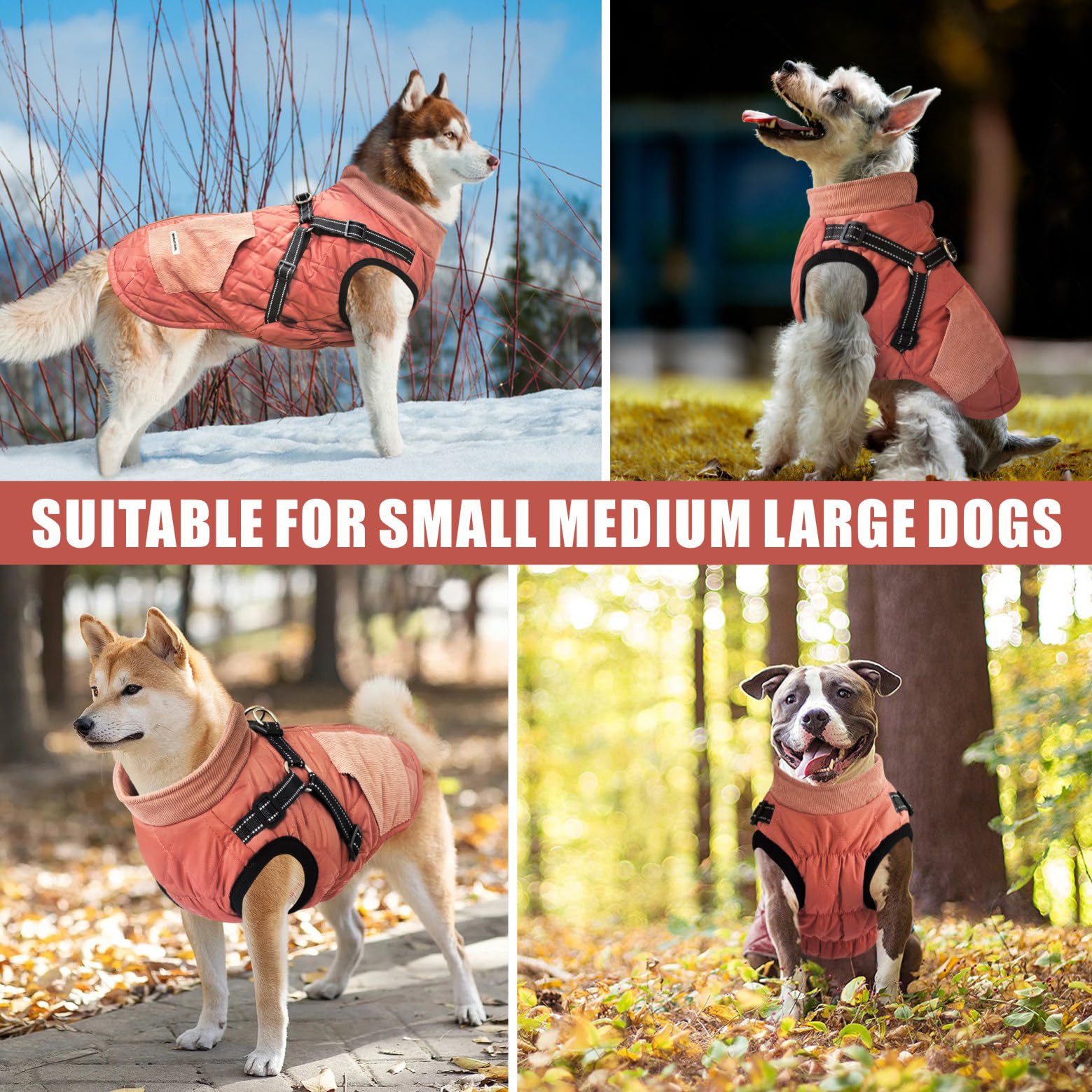Mosucoirl windproof dog jacket with fleece inner for comfortable chilly days.
