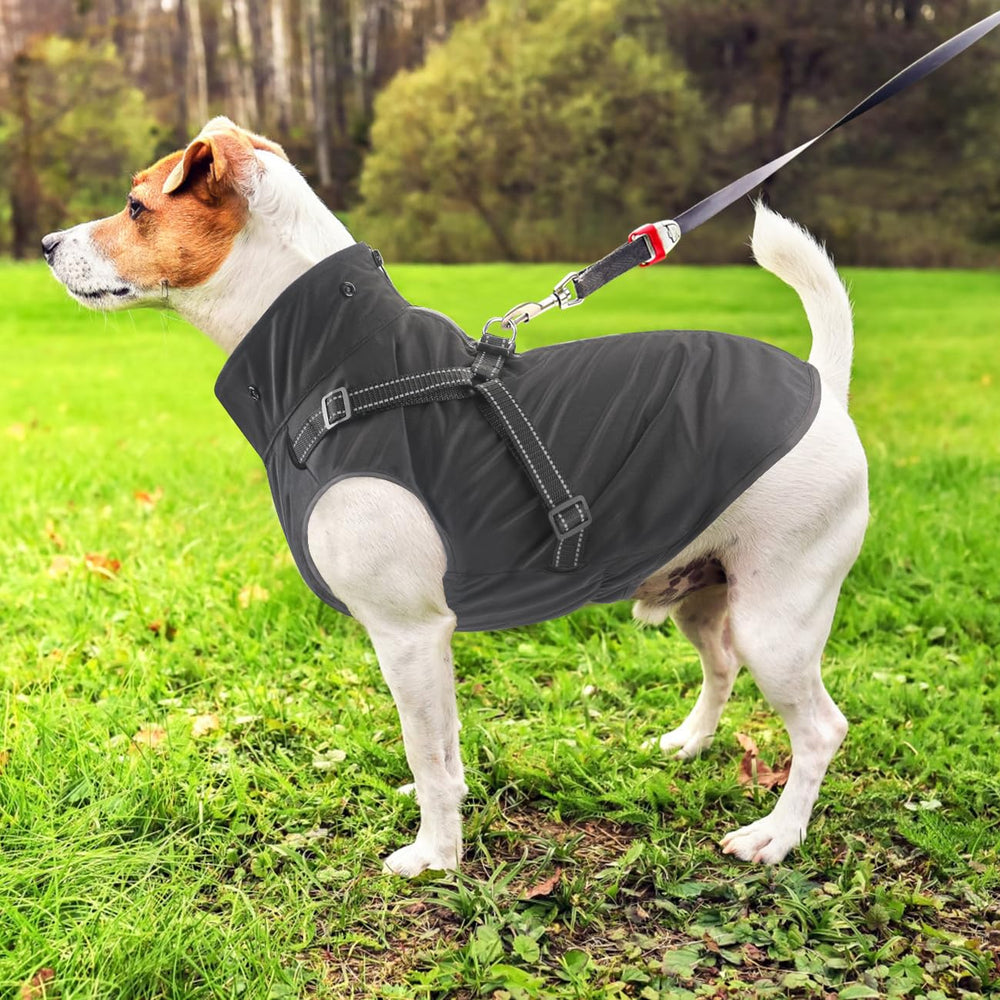 Mosucoirl dog raincoat black-color offers sleek, versatile daily use.