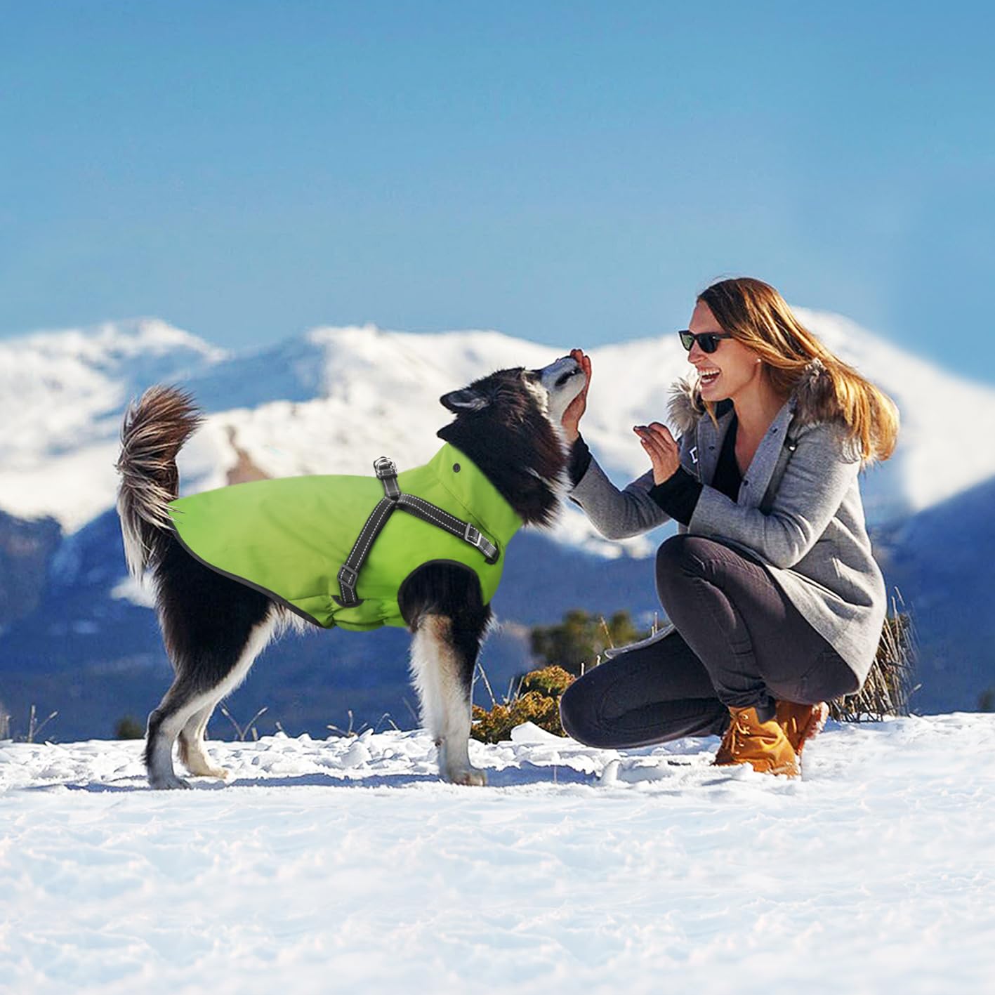 Mosucoirl green dog raincoat during a walk for visibility