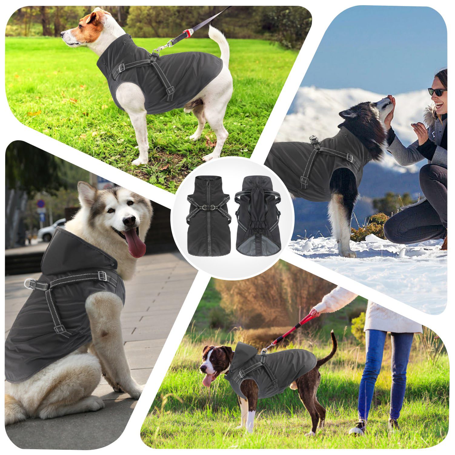 Mosucoirl dog raincoat removable-hood shows versatile protection for changing weather.