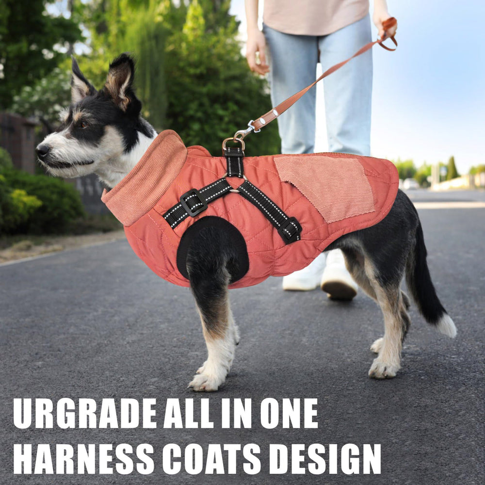 Mosucoirl reflective dog coat boosts night visibility for safer strolls.