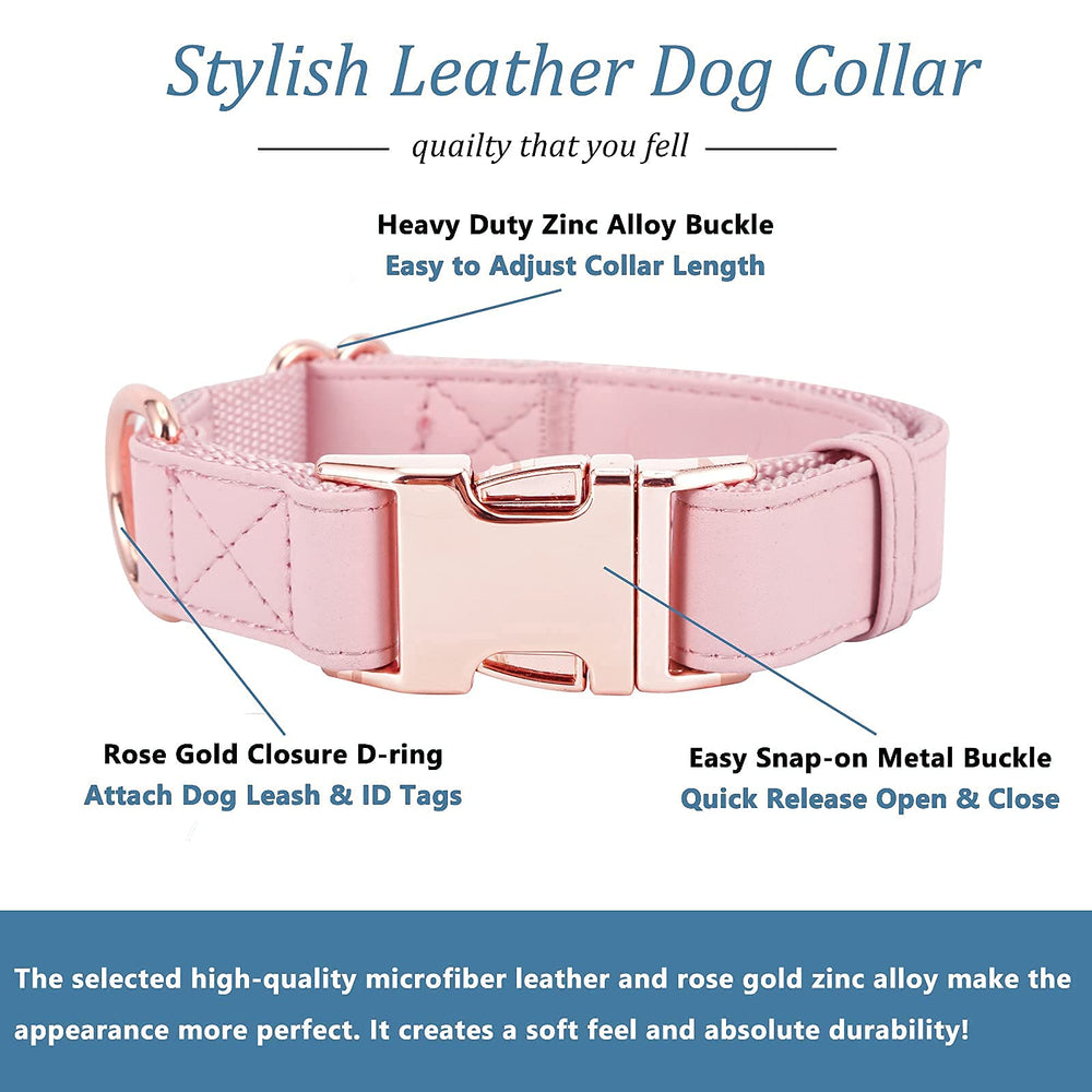 MoTaity double-layer-material collar image shows comfortable padding for neck protection.
