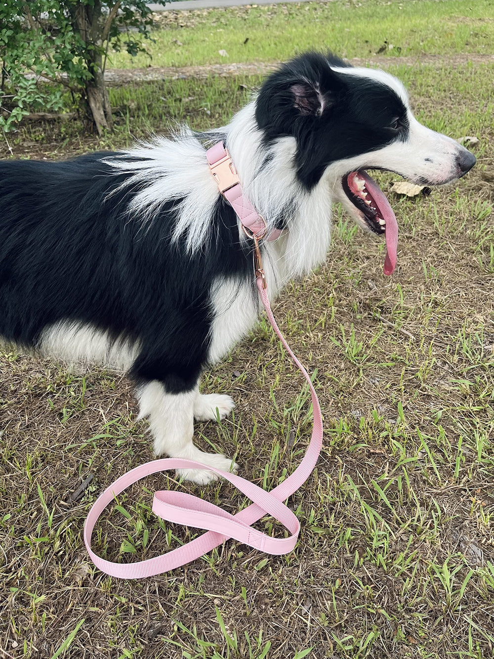 MoTaity pink dog-collar-and-leash-set shown as a complete fashionable bundle.
