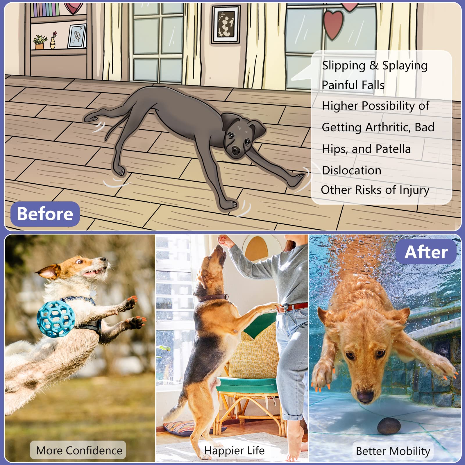 Designed for senior dogs to help mobility and prevent slips with Mottalio grips.