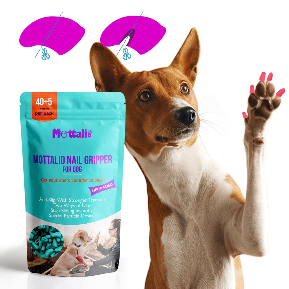 Mottalio Nail Grippers on dog claws showing improved traction on slippery floors.