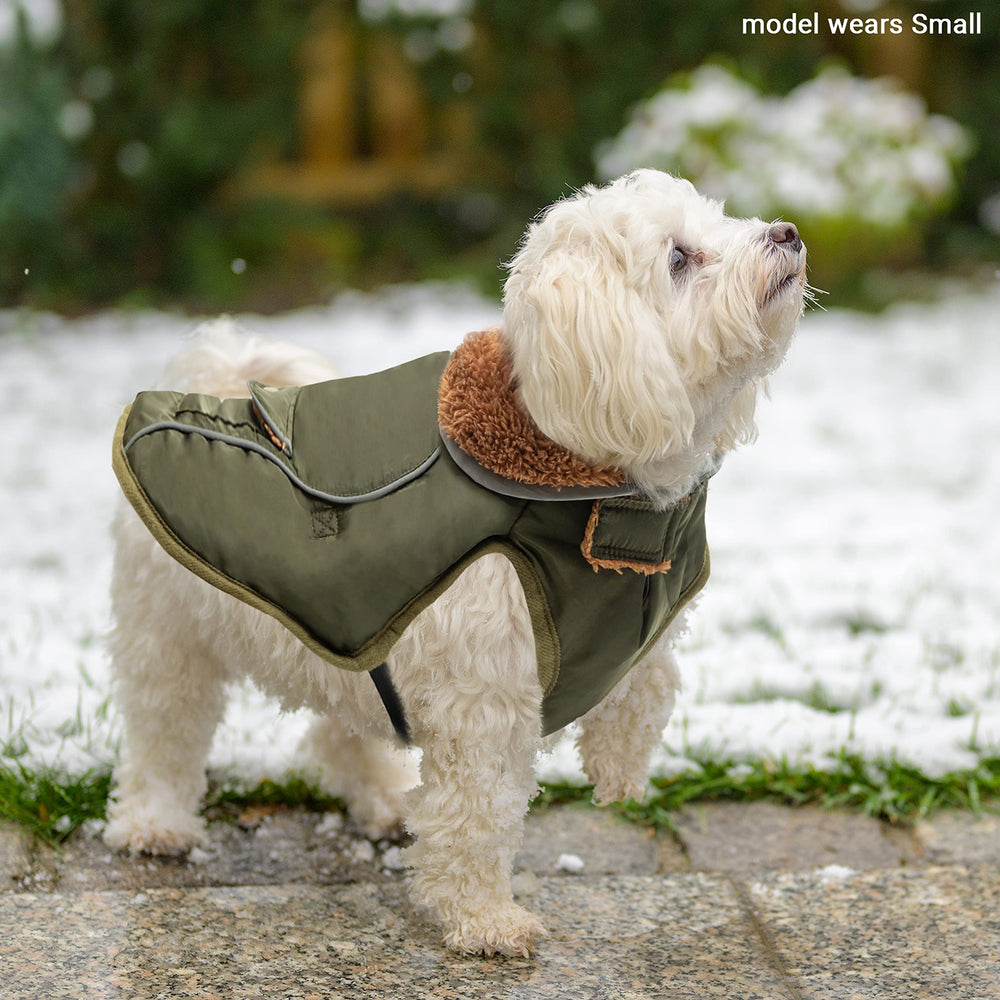 Motzabo abrigo de perro, bolsillos prácticos para snacks y accesorios.