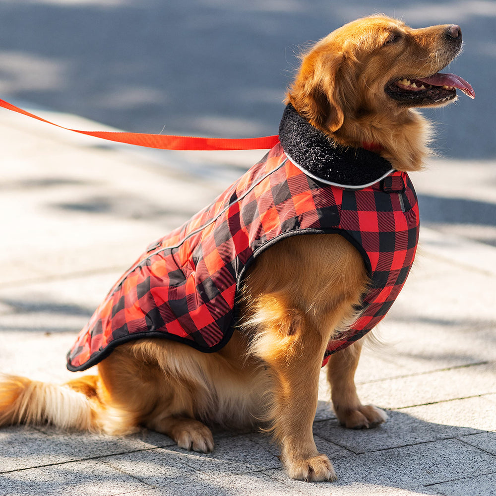 MOTZABO dog winter coat adjustable strap closeup shows secure fit and wind protection.