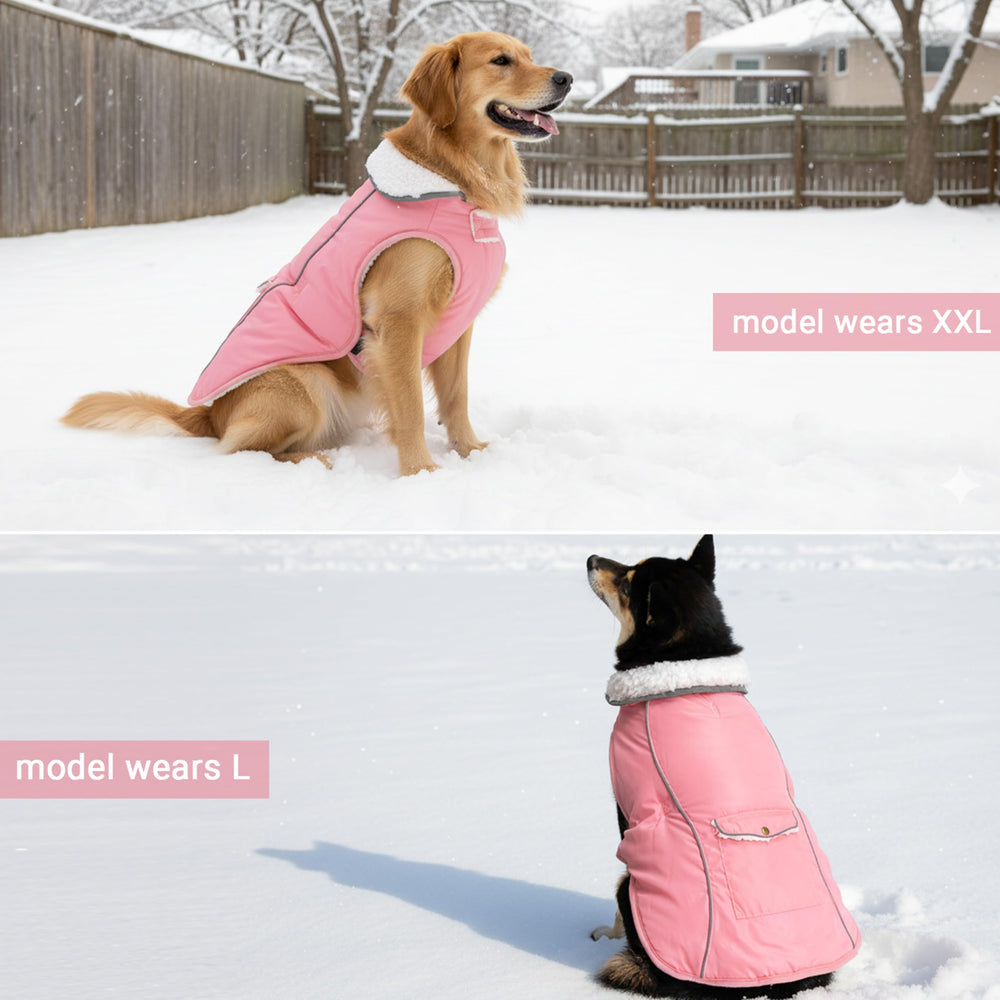 MOTZABO dog winter coat reflective trim visible during night walks