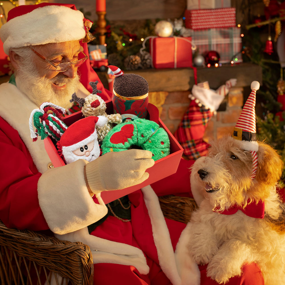 Motzabo reindeer rope toy—interactive play and dental-friendly cleaning.