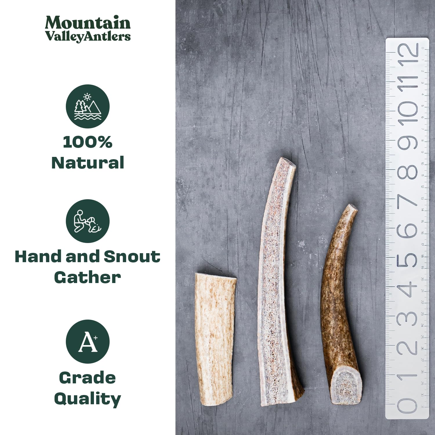 Mountain Valley Antlers dog chew, odor-free inside living spaces for mess-free play.