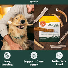 Mountain Valley Antlers ethically sourced antlers from U.S. wilderness for dogs.