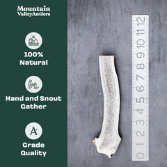 Mountain Valley Antlers elk-antler medium split dog chew keeps dogs busy.
