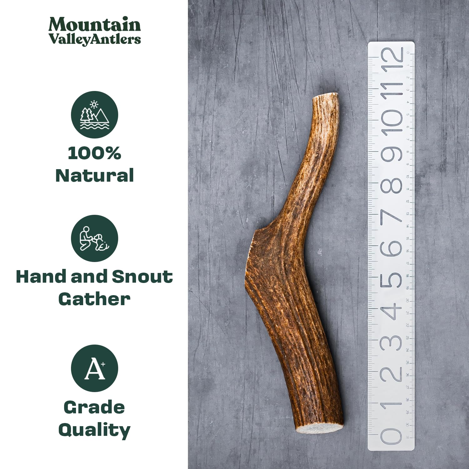 Mountain Valley Antlers hand-selected elk antlers close-up highlights premium texture for chewing.