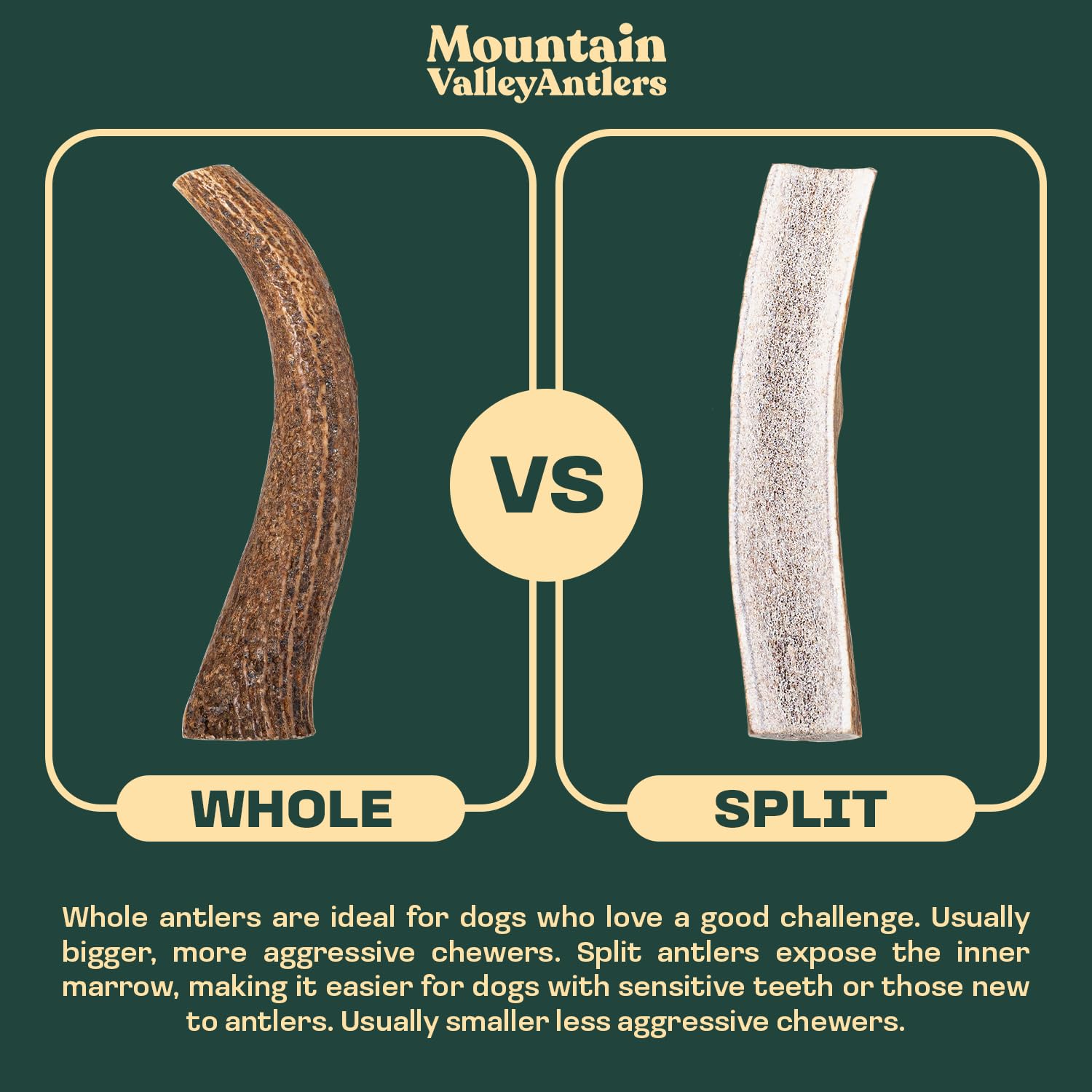Mountain Valley Antlers long-lasting chew designed for durable gnawing sessions.