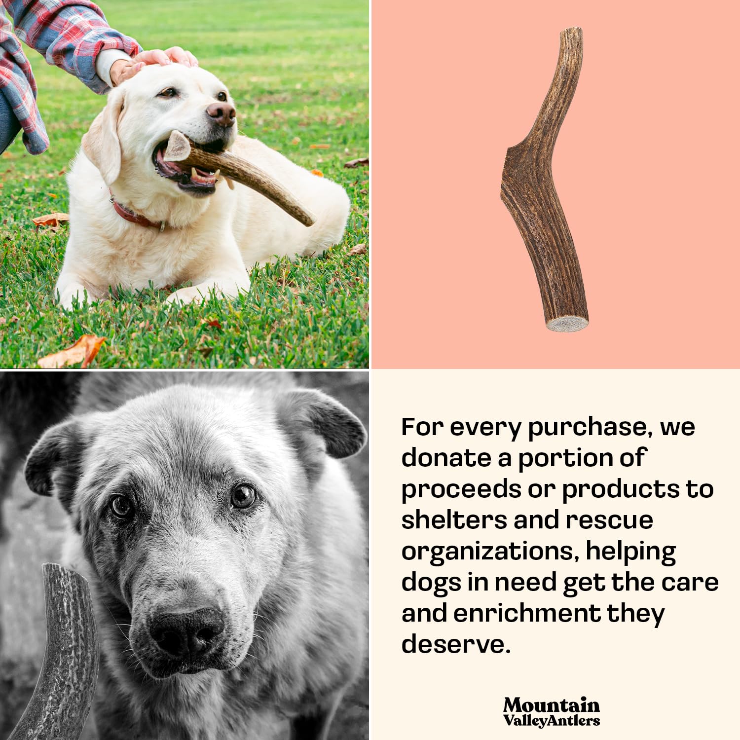 Mountain Valley Antlers sizes range for small to large dogs in one pack.