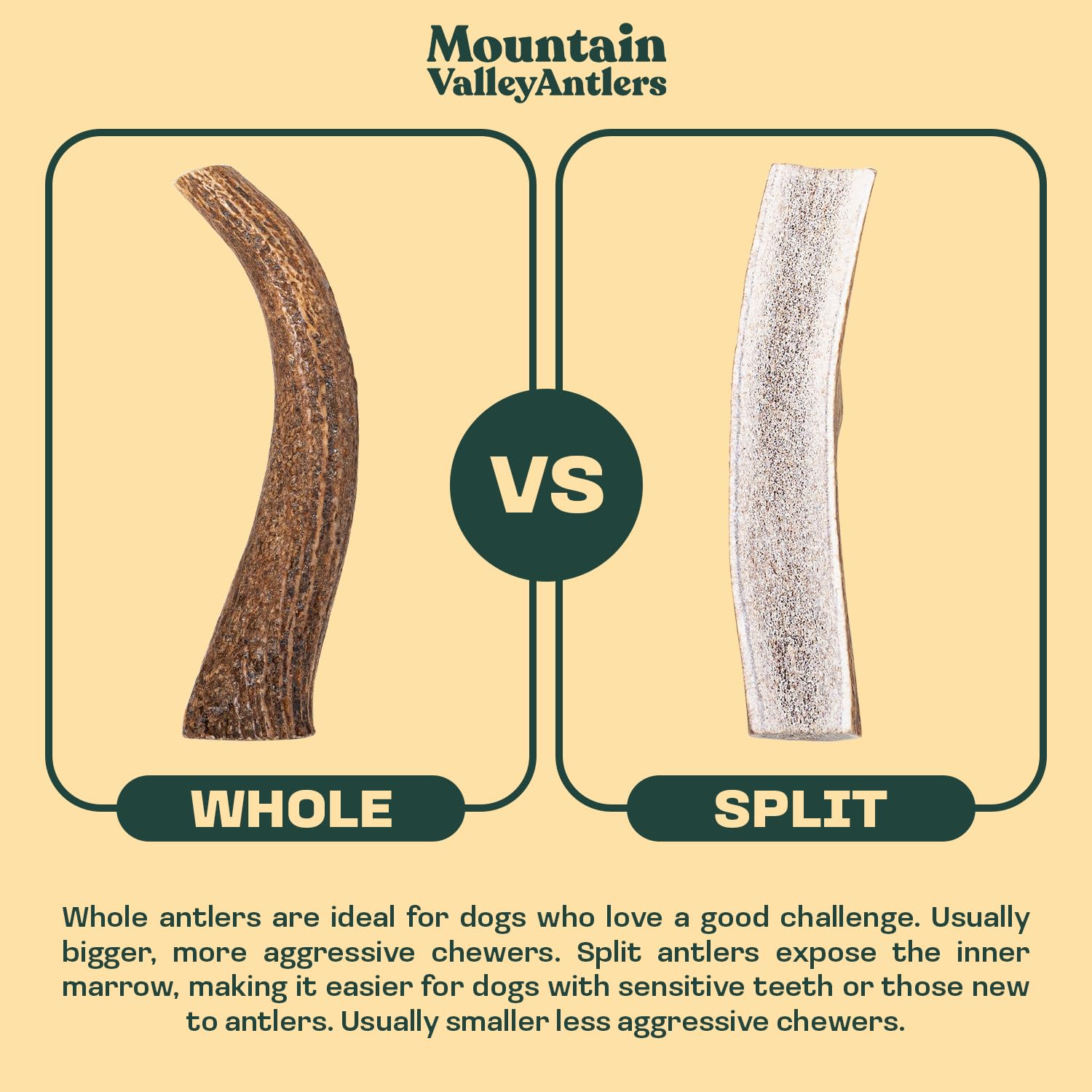 Mountain Valley Antlers various sizes – fits small to large dogs securely.