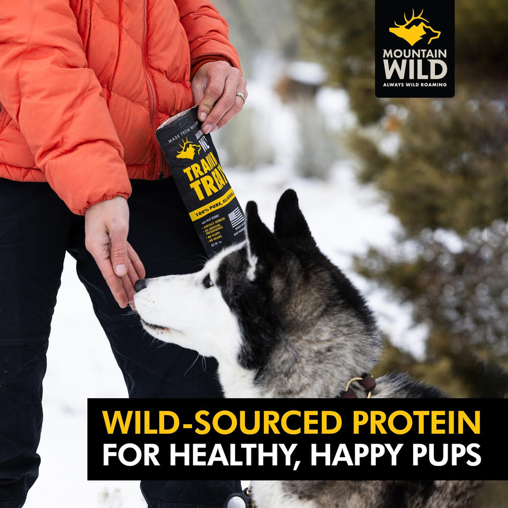 Mountain Wild puppy training use case with treats