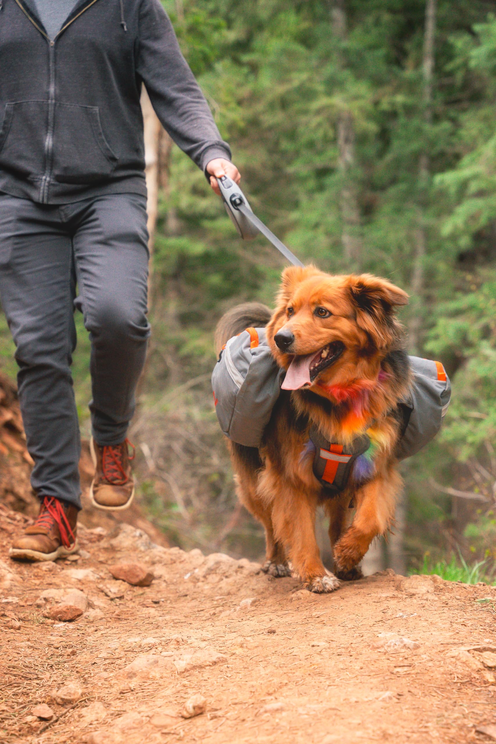 Mountainsmith K9 Pack D-ring leash attachment for secure outdoor walks