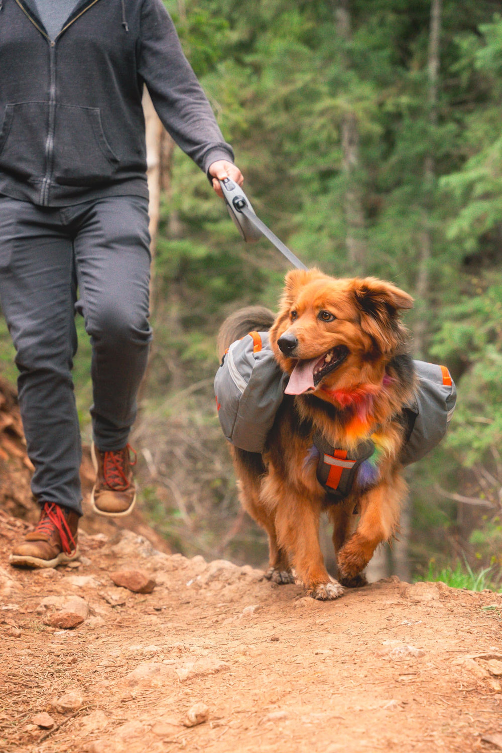 Mountainsmith K9 Pack D-ring leash attachment for secure outdoor walks