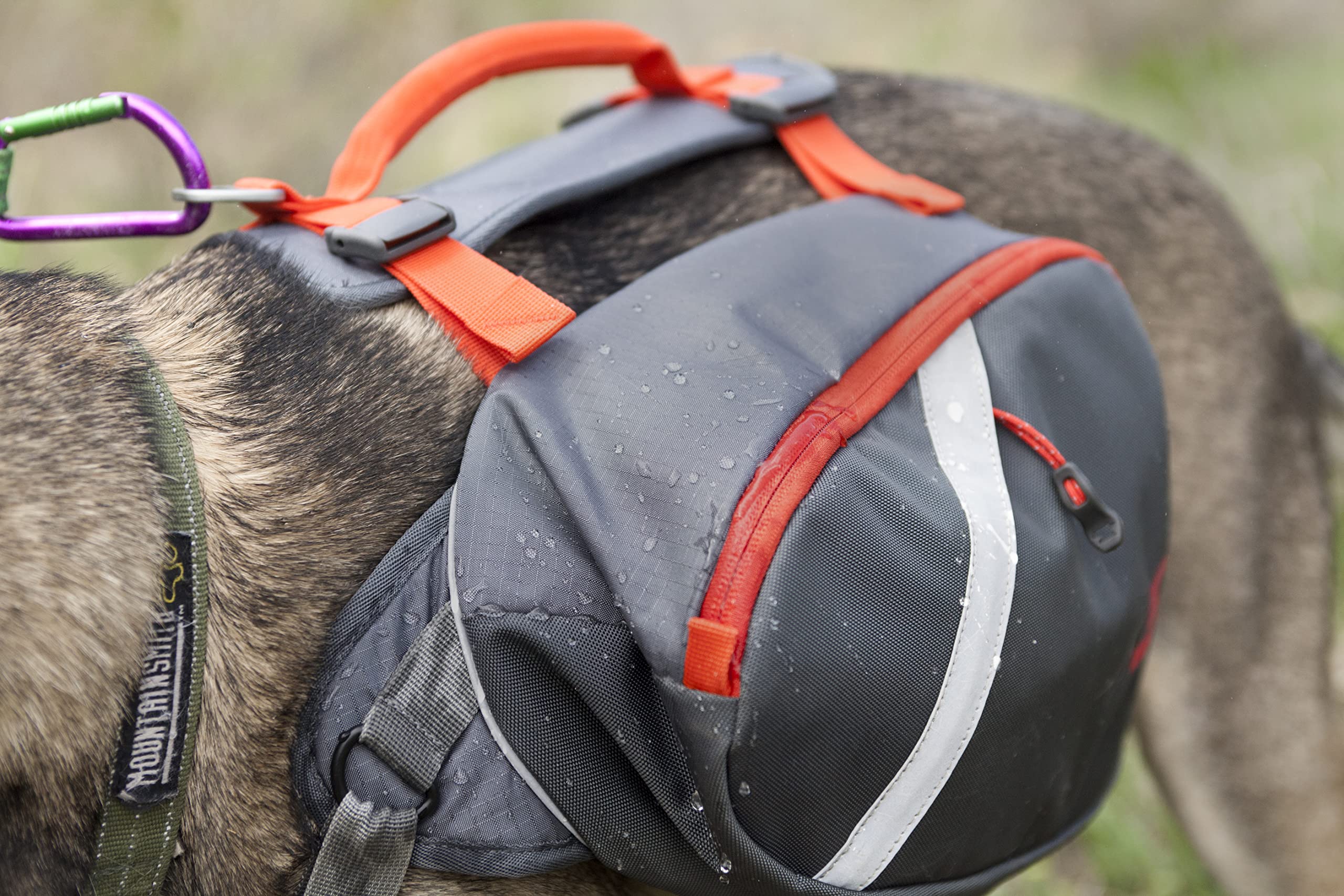 Mountainsmith K9 Pack medium pannier 5L for mid-sized dogs
