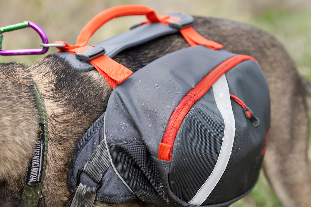 Mountainsmith K9 Pack medium pannier 5L for mid-sized dogs