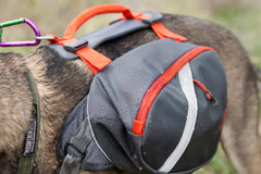 Mountainsmith K9 Pack medium pannier 5L for mid-sized dogs