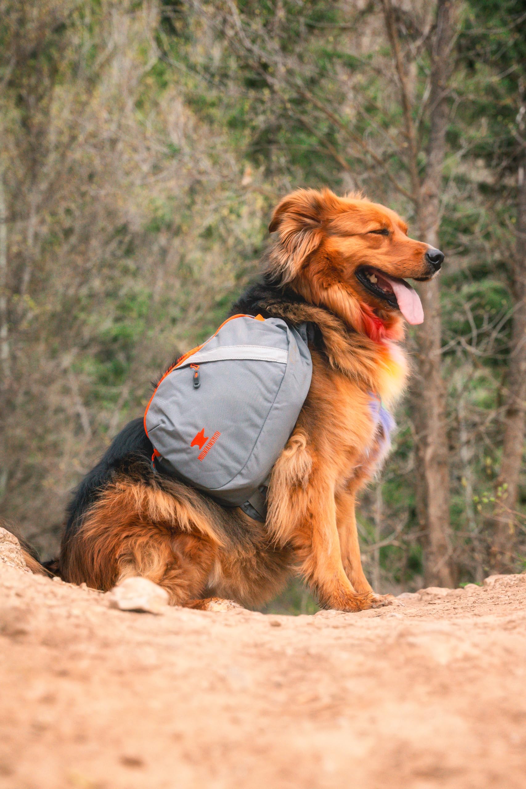 Mountainsmith K9 Pack small pannier 3L for small dogs