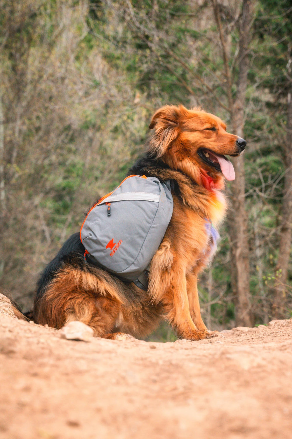 Mountainsmith K9 Pack small pannier 3L for small dogs