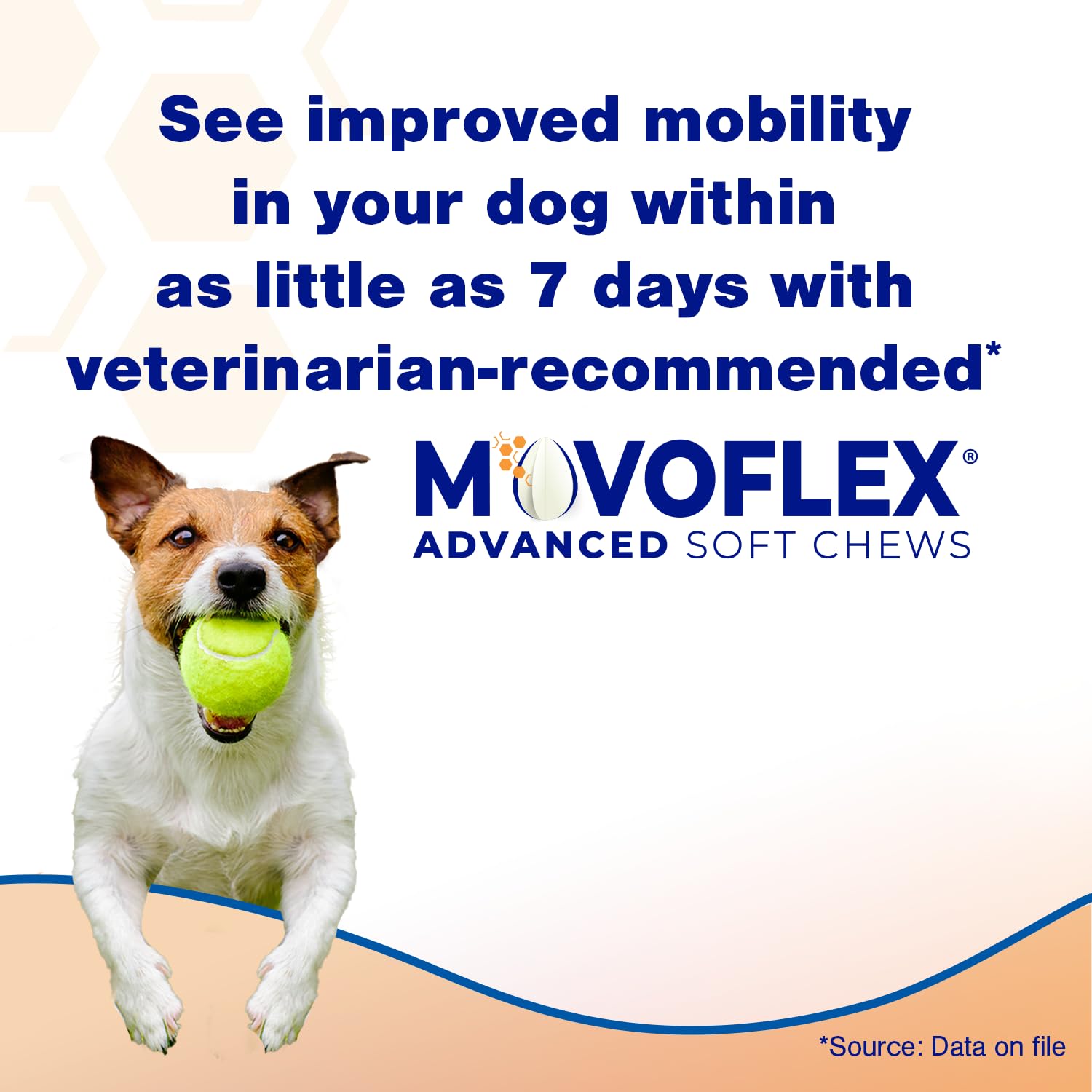 Movoflex soft chews chicken flavor dog treat, ready for daily feeding.