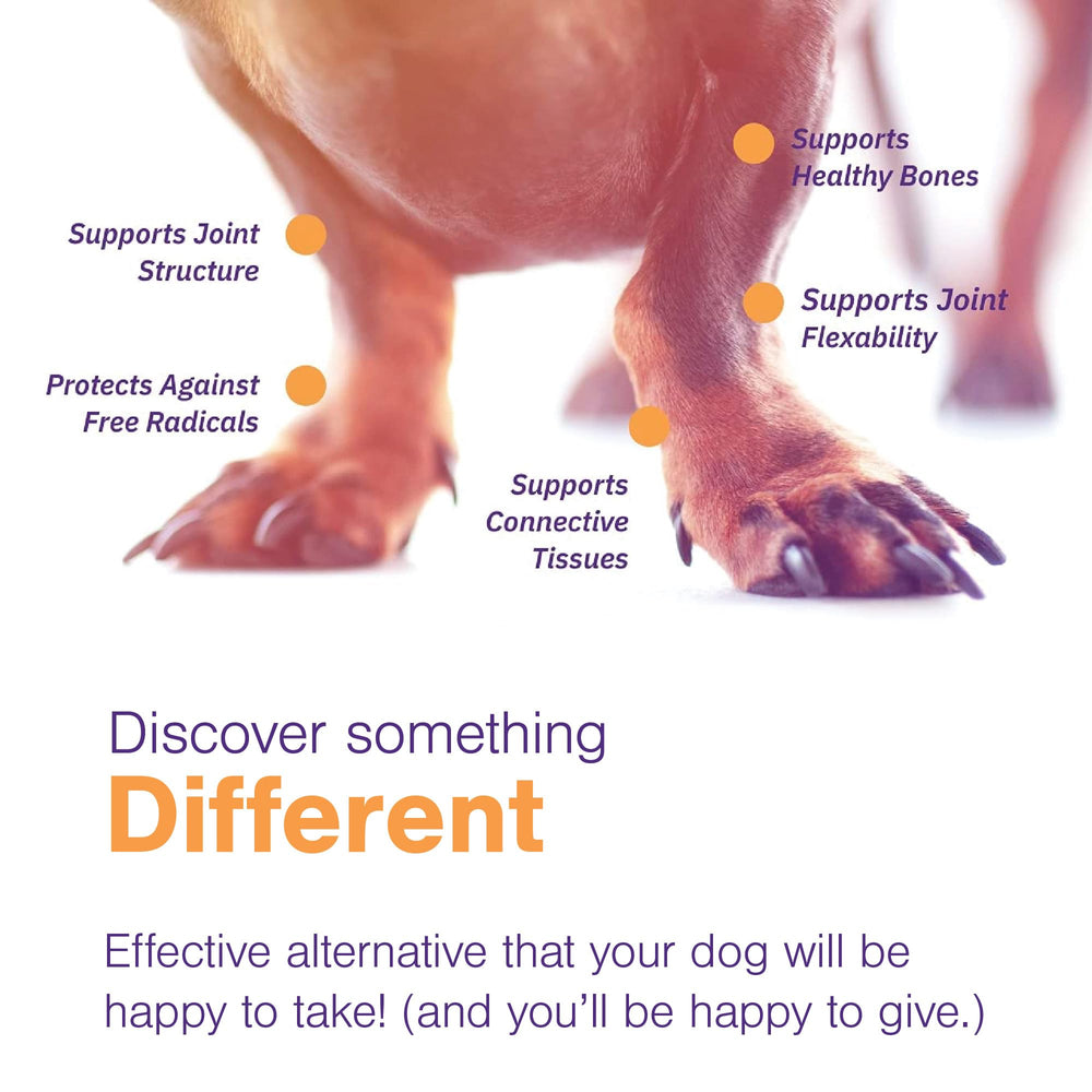 MOVOFLEX zanthin-astaxanthin emphasizes antioxidant protection for joints.